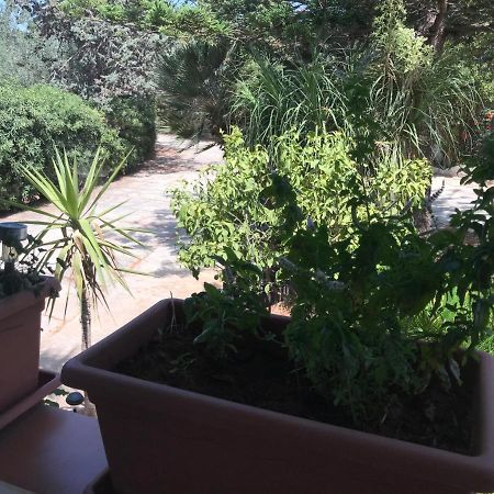 A Casa Dei Fenici Βίλα Μαρσάλα Εξωτερικό φωτογραφία